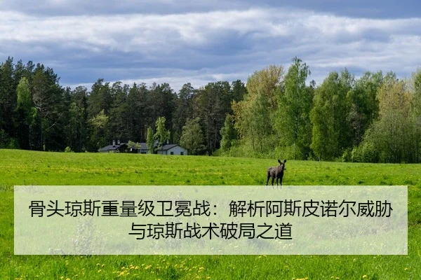 骨头琼斯重量级卫冕战：解析阿斯皮诺尔威胁与琼斯战术破局之道