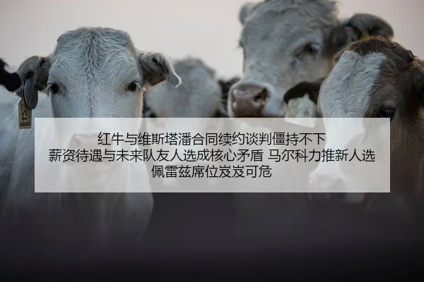 红牛与维斯塔潘合同续约谈判僵持不下 薪资待遇与未来队友人选成核心矛盾 马尔科力推新人选 佩雷兹席位岌岌可危