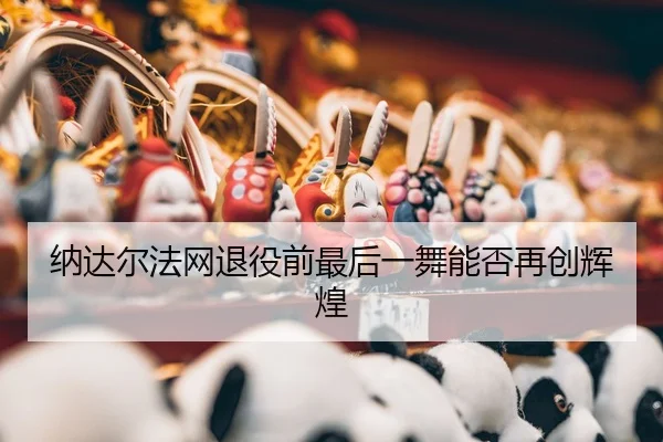 na-da-er-fa-wang-tui-yi-qian-zui-hou-yi-wu-neng-fou-zai-chuang-hui-huang-3-834.jpg