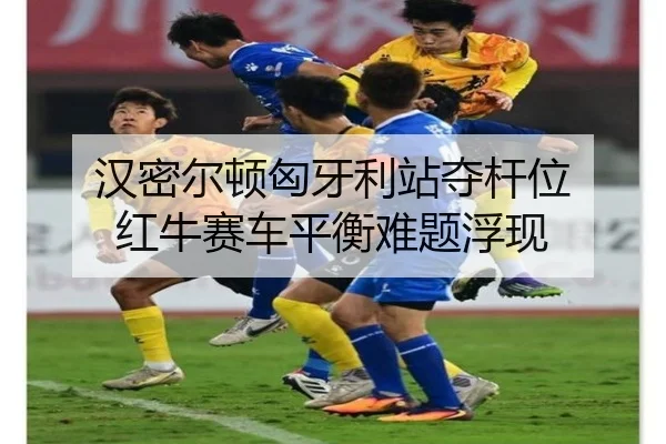 han-mi-er-dun-xiong-ya-li-zhan-duo-gan-wei-hong-niu-sai-che-ping-heng-nan-ti-fu-xian-3-301.jpg